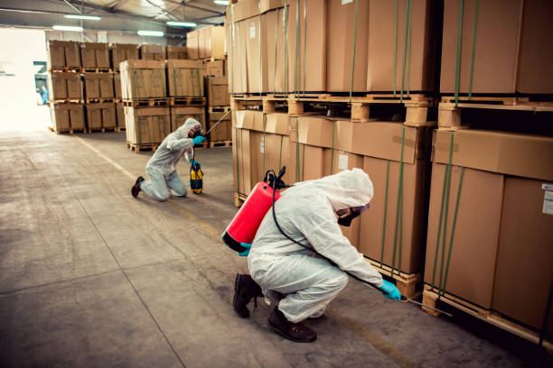 Best Affordable Pest Control Services  in Harrison, OH