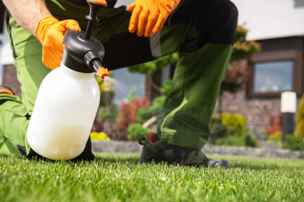 Best Rat Extermination Near Me  in Harrison, OH