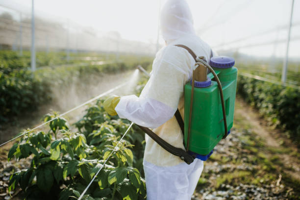 Best Mosquito Control Services  in Harrison, OH